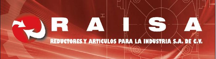 Fabricacion y Reparacion de todo tipo de Reductores de Velocidad y Transmisiones de Potencia